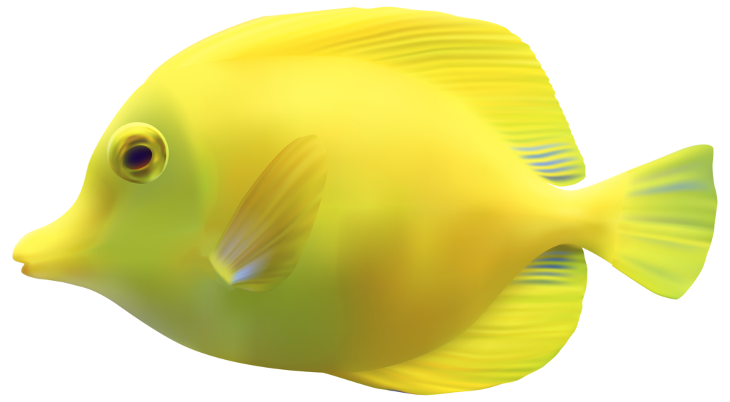 Yellow_ZebrasomaTang_Fish_PNG_Clipart-461